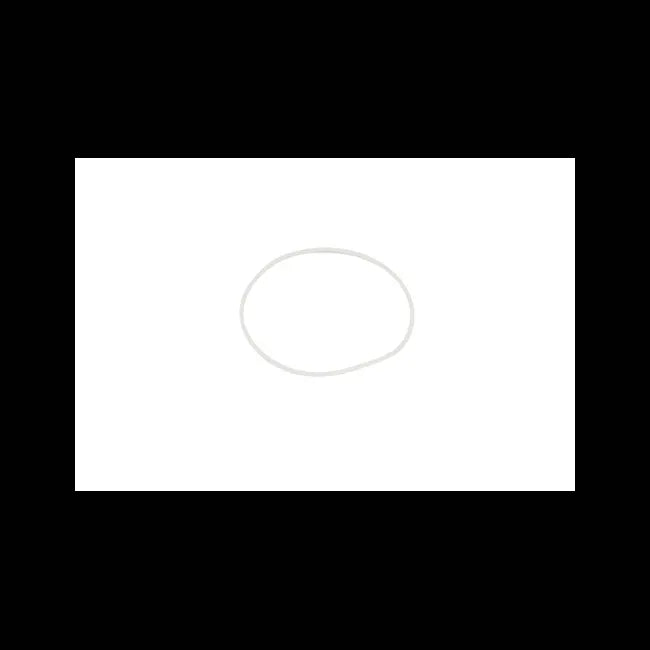 O-Ring, 6689564