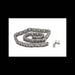 Drive Chain, 6689649