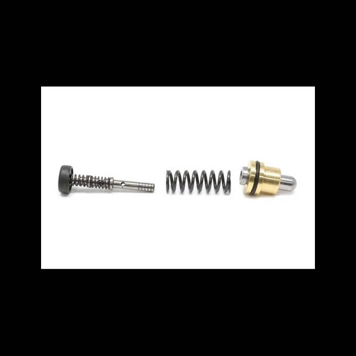 Plunger Kit, 6689707