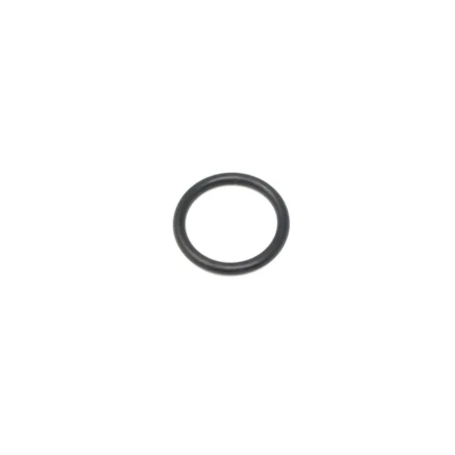 O-Ring, 6690299