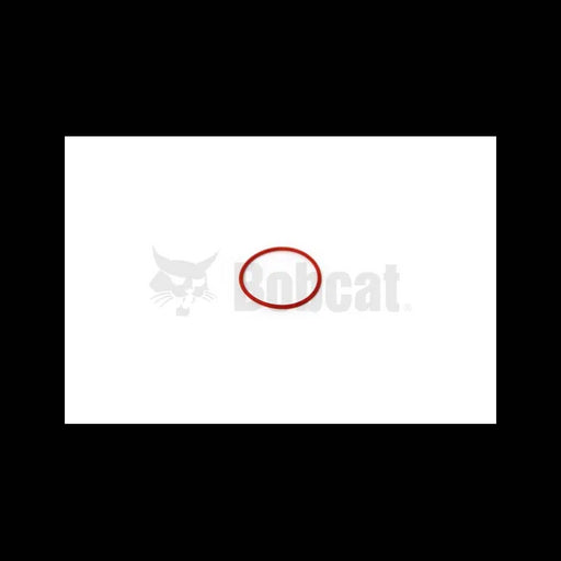 O-Ring, 6690949