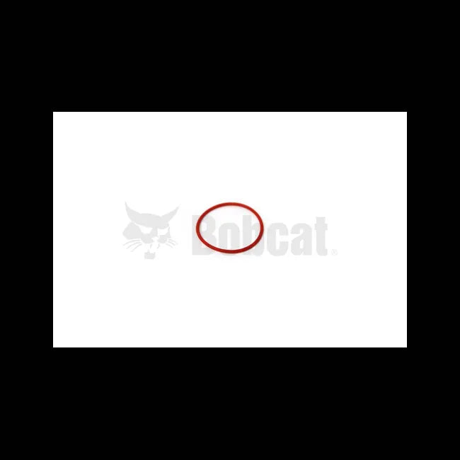 O-Ring, 6690949