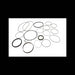 Hydrostatic Seal Kit, 6691249