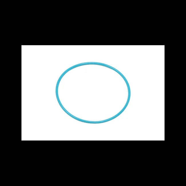 O-Ring for Loaders, 6691543