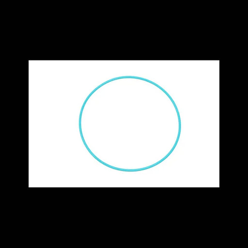 O-Ring for Loaders, 6691546