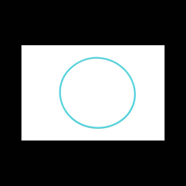 O-Ring for Loaders, 6691546