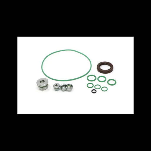 Drive Motor Seal Kit, 6691634