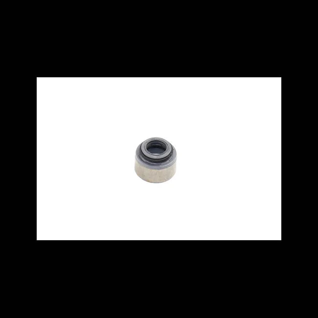 Valve Stem Seal, 6696889