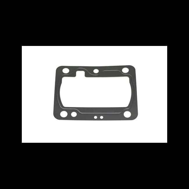 Injection Pump Shim, 6698160