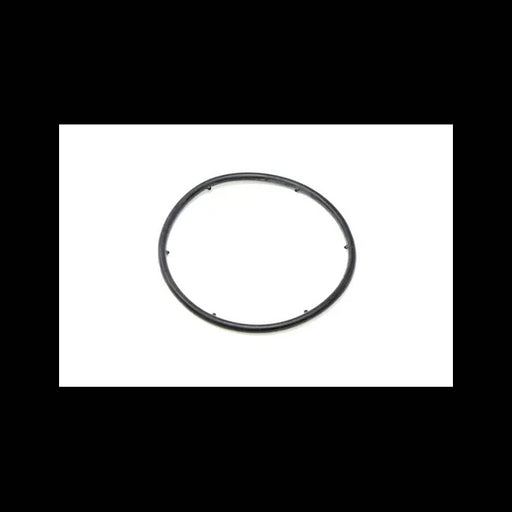 O-Ring, 6698244