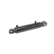 Hydraulic Cylinder, 6698380