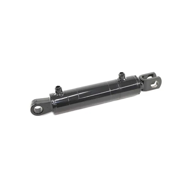 Hydraulic Cylinder, 6698380