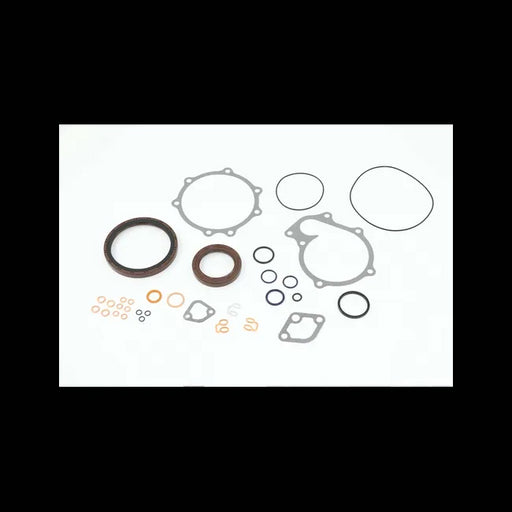 Lower Engine Gasket Kit, 6698579