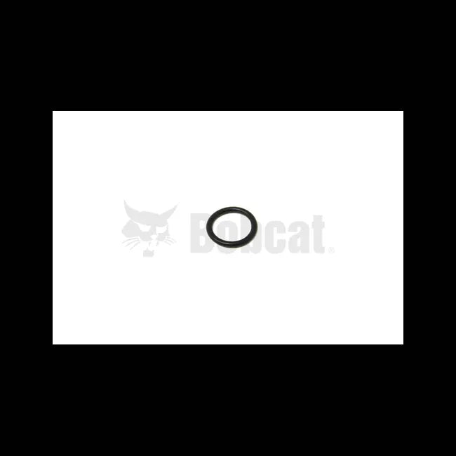 O-Ring, 6704820
