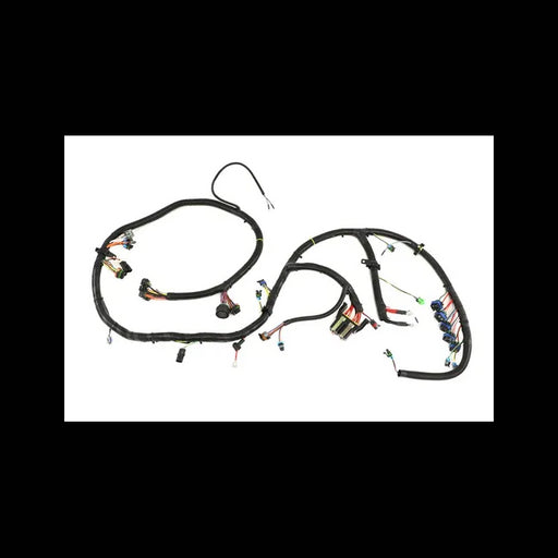 HARNESS ENG BOSS, 6715893