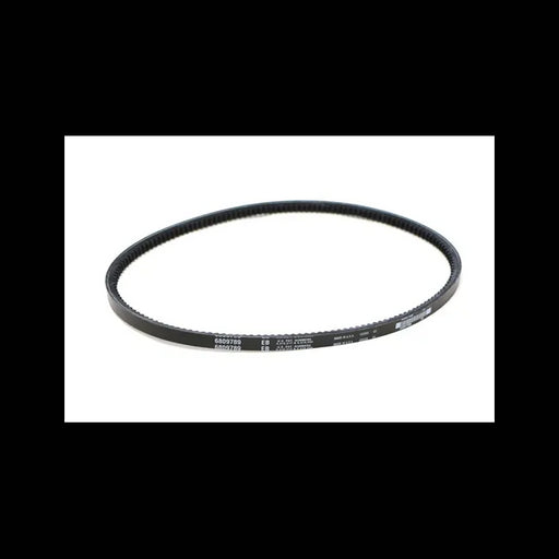 Fan Belt for Excavators, 6809789