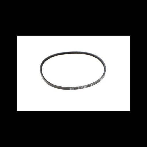 Alternator Belt for Excavators, 6809791