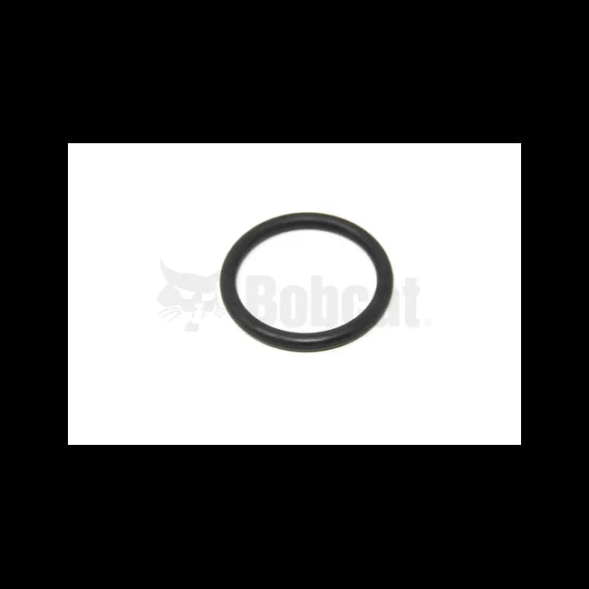 O-Ring, 6811260