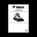 A300 All Steer Loader Service Manual, 6901756