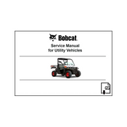 Bobcat 6989598ENUSPDF 3200 Utility Vehicle Service Digital Manual