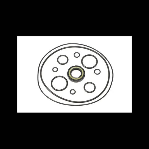 Seal Kit for Excavators, 7000959