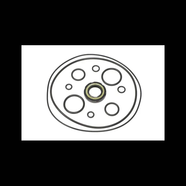 Seal Kit for Excavators, 7000959