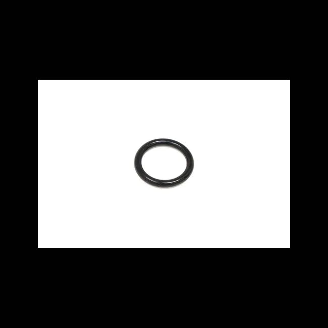 O-Ring, 7009198