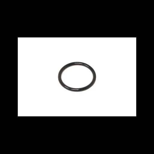 O-Ring for VersaHandler Telehandlers, 7009211