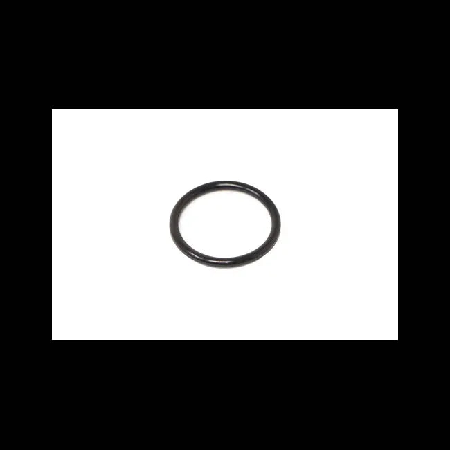 O-Ring for VersaHandler Telehandlers, 7009211