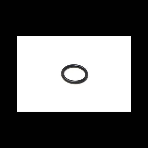 O-Ring, 7010289