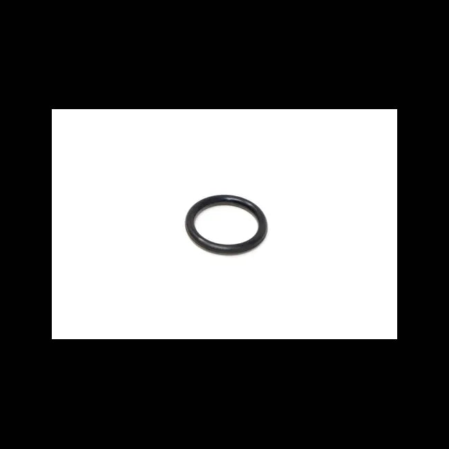 O-Ring, 7010289
