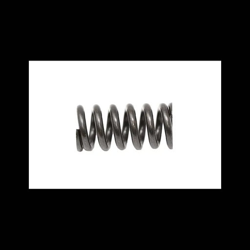 Valve Spring, 7012714