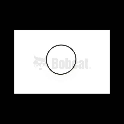 Bottom Filter O-Ring, 7015489