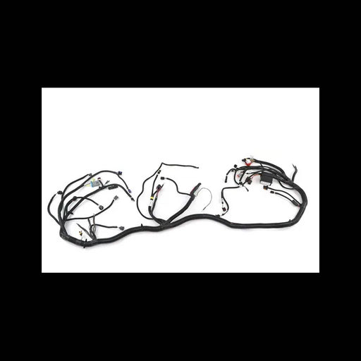 Chassis Harness, 7018920