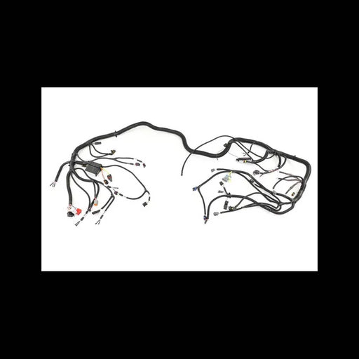 Chassis Harness, 7018991