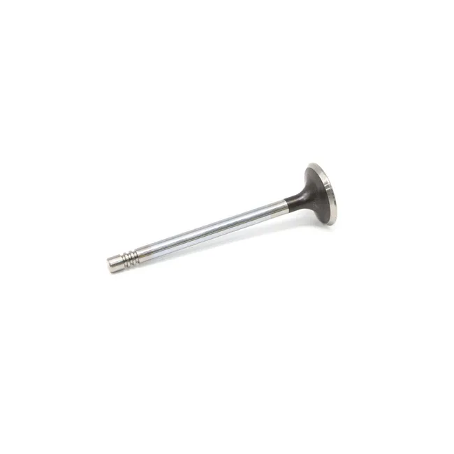 Bobcat 7030458 Intake Valve