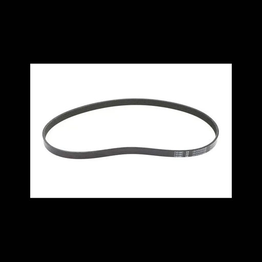 Drive Belt, 7101067