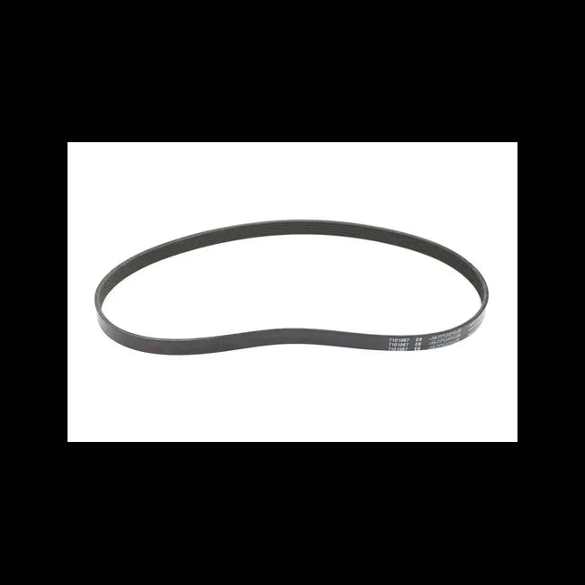 Drive Belt, 7101067