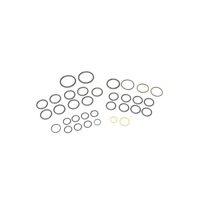 Bobcat 7123965 Valve Seal Kit