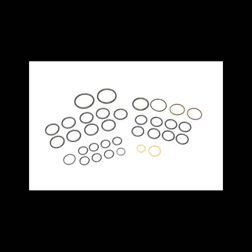 Valve Seal Kit, 7123965