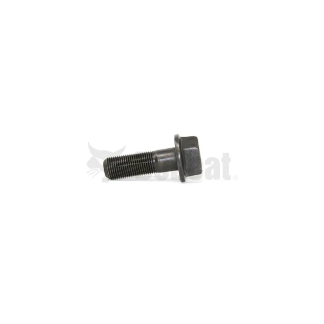 Bobcat 7139763 Screw