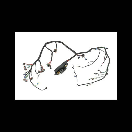 Harness, Console Rh, 7147342