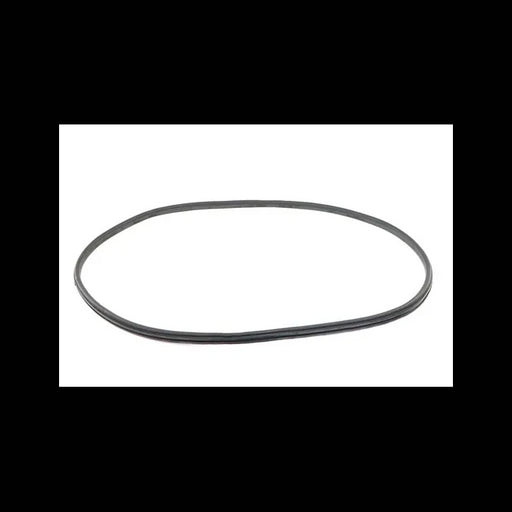 Rear Window Seal, 7163988