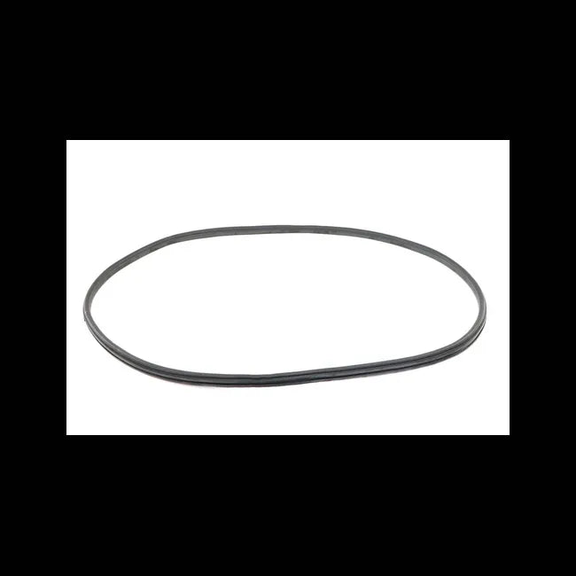 Rear Window Seal, 7163988