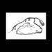 Control Harness, 7228718