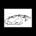 HARNESS, MFR SF MANUAL, 7252616
