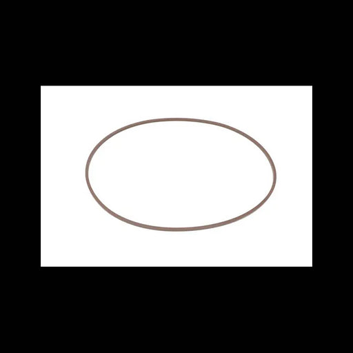 Seal for Hydrostatic Motors, 7255546