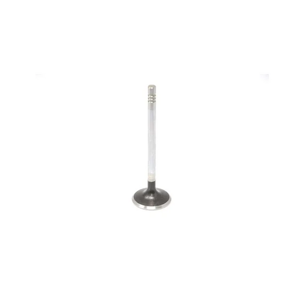 Bobcat 7256800 Intake Valve