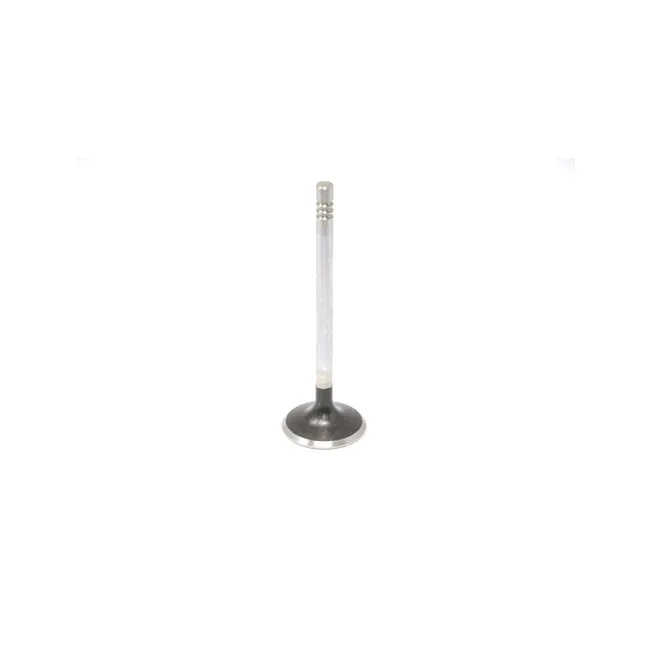 Bobcat 7256800 Intake Valve