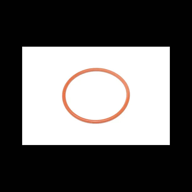 O-Ring, 7258479